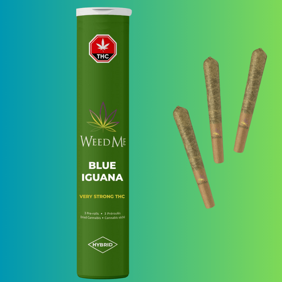 Weed Me Blue Iguana Hybrid Pre-Rolls-3x0.5g 3x0.5g Morden Vape SuperStore and Cannabis Manitoba Canada