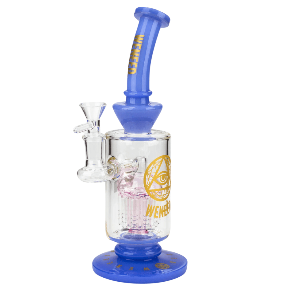 WENEED Time Chamber Dab Rig w/Tree Arm Perc-10.5" Morden Vape SuperStore and Cannabis Manitoba Canada