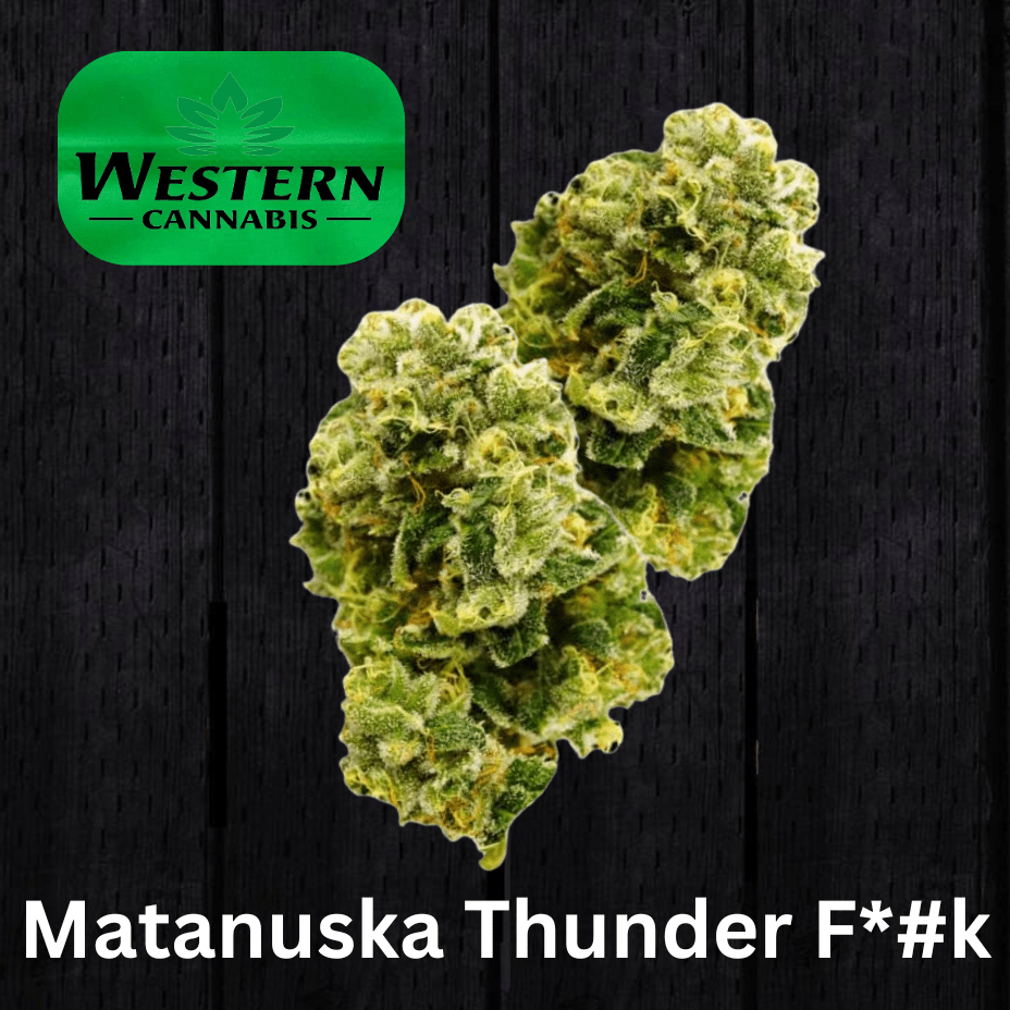 Western Cannabis Matanuska Thunker F*#k Sativa Flower-28g 28g Morden Vape SuperStore and Cannabis Manitoba Canada